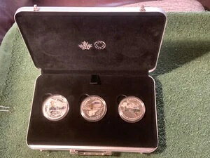 2016�N�J�i�_�R�C���Z�b�g ��ꎟ���E���̍q��@ �v���[�t �J���[��