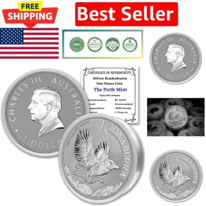 2024 P 1IX I[XgA Vo[ NbJo RC (JvZAؖt)