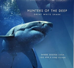 2019N (PAMP) \ 2h  1IX zIWU #35-25