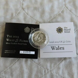 �p�� 2013 �E�F�[���Y �t���[���� 1�|���h �s�G�t�H�[�g �V���o�[ �v���[�t - �R�C��