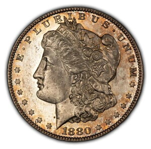 1880-S 1h KE_[ - v[t̂悤ȋtB[h - JtȐF - SKU-D4103