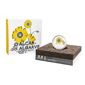 �|���g�K�� 5���[�� 2019 ALCAR DO ALGARVE �J���[ PP / �v���[�t - �� -