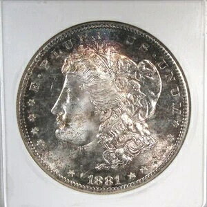 1881-S �V���o�[ �����K�� �_���[ �g�[�� ANACS MS64 �R�C�� AS2