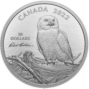 ؂̏̃VtNE xCg}MTC 2022N Ji_ 50mm 2IX .9999 Vo[ 30hRC