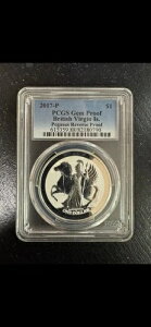 2017-P 1h p̃o[W 1IX yKTX o[X Vo[ PCGS WFv[t .999