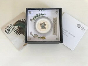 2020�N �V���o�[�v���[�t �e�C���Y�E�I�u�E�W�E�A�[�X - �q���G�I�T�E���X �J���[ 50�y���X