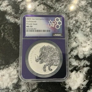 2025N 1IX Q}jA OuXeB NGC MS 70 Vo[RC 500h g[_[ r[ p[vRA