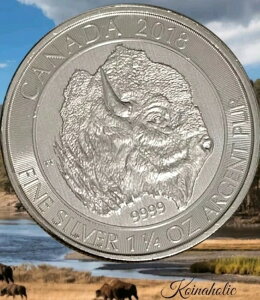 2018NJi_h 8h 1.25 1 1/4IX oC\ .9999 ݁Aʂ̓tǍD