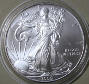 AJ - USA 1h 2009N 1IX ݁uVo[C[OvoeB #F6521 ST-BU-