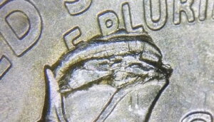 2021NP VgENbVOEUEfEFAEtNEE_CuCN`bvG[RC