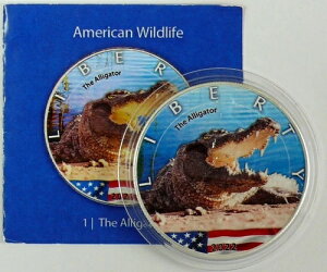 AJ 1h 2022N Vo[C[O - AQ[^[A1IX Vo[ -