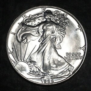 1988N  AJ Vo[ C[O čǔs 1IX  #N400