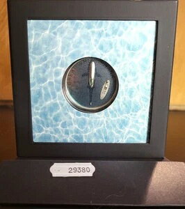 2021N pI zzWU  J[CY 1IX Vo[ 5hBOGP/COA