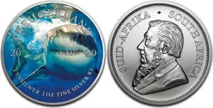 2020N zzWU - C̋l 1IX Vo[J[ N[K[hRC