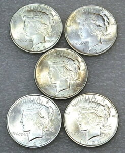 1924Ns[XVo[_[`CXBUuCgtXeBX^[5Zbg #M35