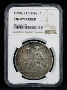1898A tX̃ChVi sAXg l fՁuhv NGC