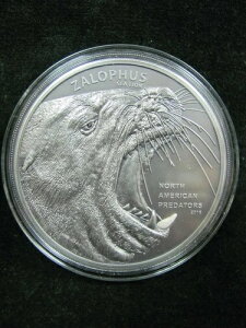 2016�N �k�ăv���f�^�[�Y �A�V�J �U���t�X - �N�b�N���� 10�h�� 2�I���X �V���o�[