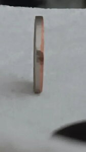 2017 D Dime ERROR ���Ɋ󏭂ȃ��[�h���X