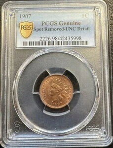 1906NCfBAwbhyj[ PCGS ڍ - V~