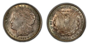 1921N 1h K - IWi̔_͗l̓F - BU SKU-D4694