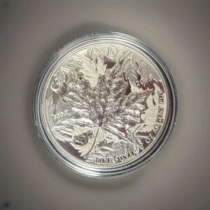 25NLO 2013N Vo[[v[t 5h sGtH[g 1IX