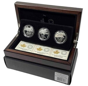 2016�N ���� 1/2�I���X �J�i�_ 10�h�� 3���Z�b�g �쐶�����̔��� #12-08