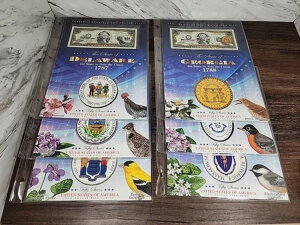 ��LOT-6�� �`�f���E�F�A�B - �č��J���[2�h������ �����ʎ����` ����������������