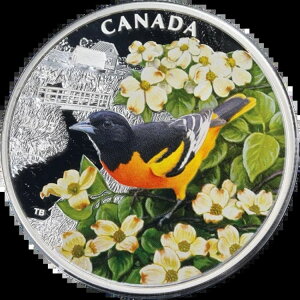 2025NJi_ 1IX  20h JtȒF{`AEII[ OGP COA - ݌ɂ