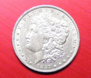 1887N O KE_[ ʃ[ // ʐ^ɂO[h 5152020-07