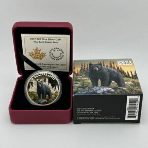 2017NJi_h20Zg - _ȍN}