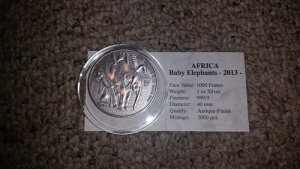 2013 - AtJV[Yimj - Ԃ]E - Vo[ 1IX - AeB[Ndグ