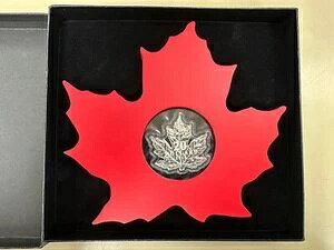 2015N 20h  - Ji_̃[v[t