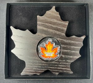 2016N CJifBA~g - Ji_̃Jtȃ[v[t - 20h