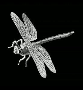 �J�����[�� 3D �g���{ 7�O���� �V���o�[ �v���[�t�R�C�� 2024�N 333������