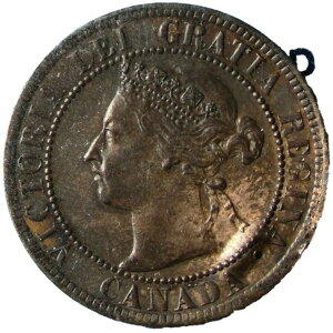 1895�N�J�i�_��^�Z���g�� CCCS MS60B �K�X�o�u���G���[ #15021