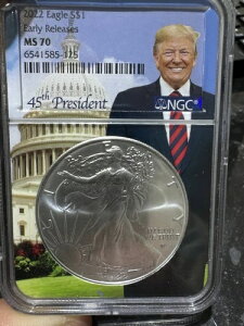 2022N AJEVo[EC[O NGC ER MS70 hihEgv RA