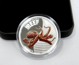 2012N I[XgA V[Ct II [tINgpX 1/2IX Vo[ v[tRC 50Zg  COAt