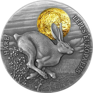 K[i 2ZfB 2021N ̖̒ETM̖쐶 AeB[Ndグ 