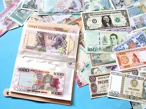 100J100ނ̐E̎ Aotʉ݃RNV