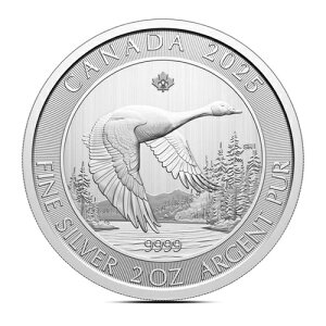 2025N 2IX Ji_O[X (BU)