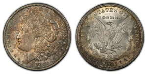 1921N 1h K - PQ _͗l C{[g[ - SKU-D3009