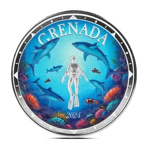 2024NvZ[ 1IX EC8 Oi_ V[N_Co[ Vo[RCiBUAJ[j