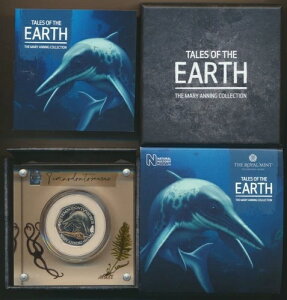 �C�M���X�F2021�N �e���m�h���g�T�E���X �J���[�V���o�[ �v���[�t 50�y���X ���C�����~���g