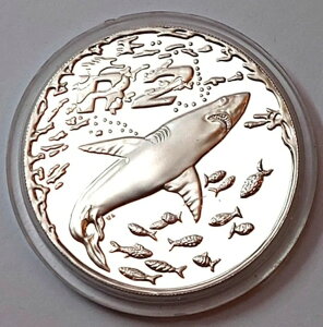 AtJ 2h 1999N v[t 33.8g 1IX ǎ zIWU 