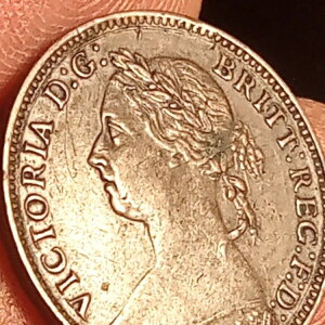 1886Nt@[WORCAI[hXsbgA