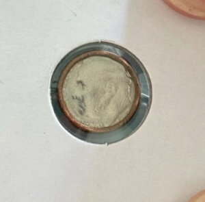 10Zgd݁iAJj j[NŃAȃG[