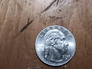 󏭂ȃWB^EC_[ 2023NNH[^[ P ~gG[RCuIn Cod We Trustv