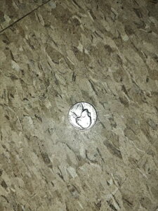 oeB1964ND5ZgA󏭃RCAAJO̗j