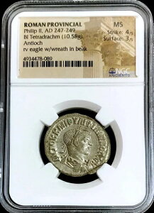 247-249�N ���[�} �A���e�B�I�L�A 2 �e�g���h���N�} �t�B���b�v2�� �J�G�T�� NGC �~���g �X�e�[�g