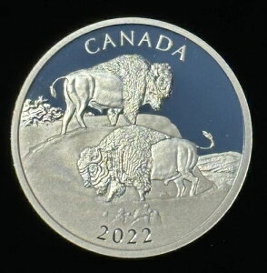 2022NJi_ - }CeBoC\A2IXVo[v[t - OGP/COA - 4,500